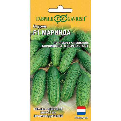 ���������� ������ ������ ������� F1 �������� 5�� ��� ������ (������)