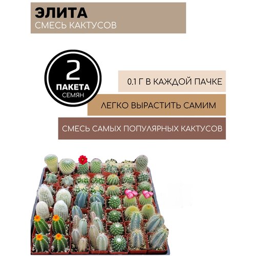 ���������� ����� ������� ����� ����� 2 ������ �� 0,1� �����