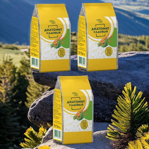 ���������� �������� 1��. 6� / 3��. ������� �������.