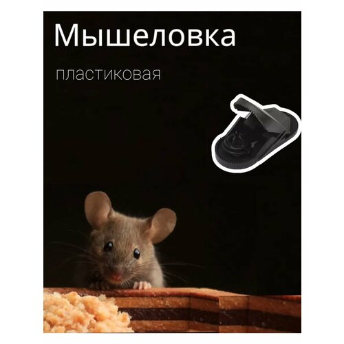 ���������� ��������� ����������� 1��