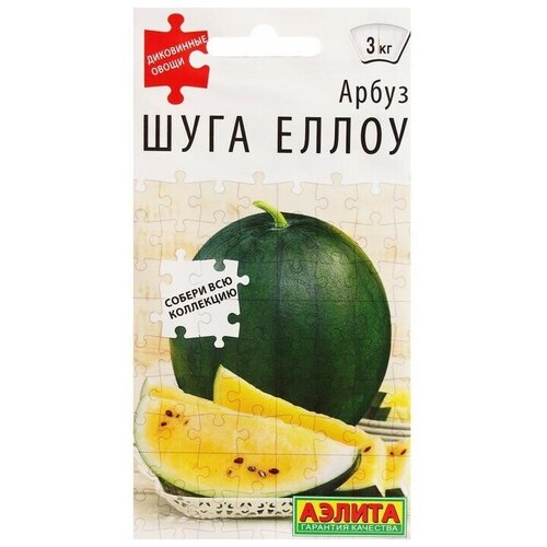 ���������� ������ ����� ���� ����� --- ���������� ����� 1� �/�