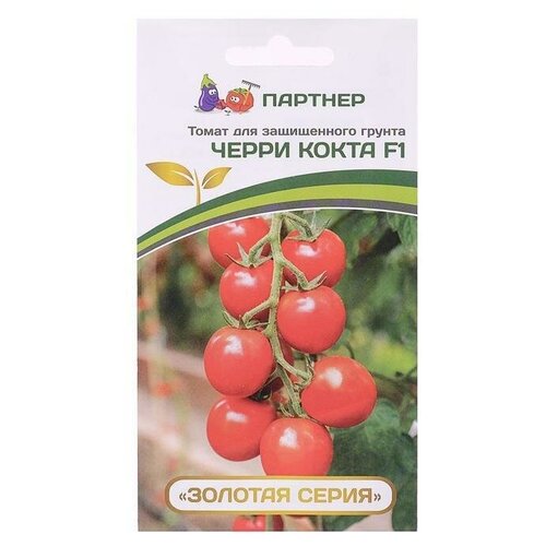 ���������� ������ ����� ����� 