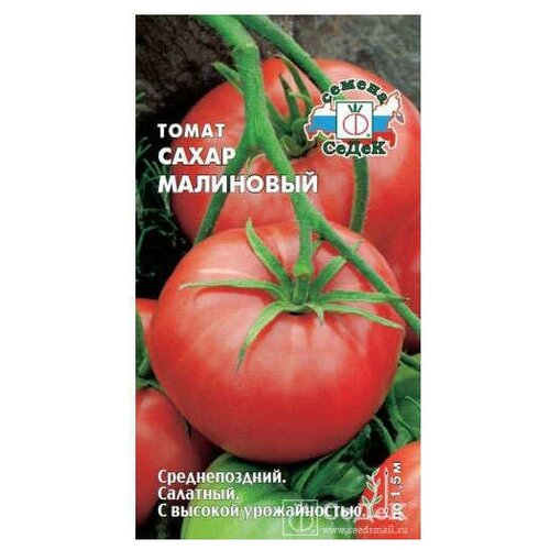 ���������� ������ ������ ����� ���������