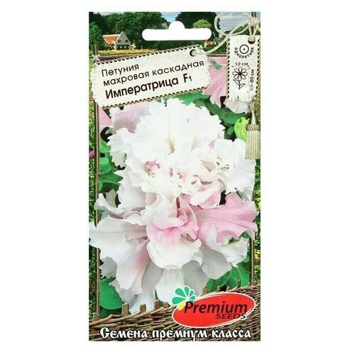 ���������� ������ ������ ������� �������� ��������� �����������, F1, 10 ��