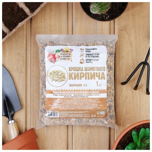 ���������� ������� ������� ������ ������ ��������� ������� 