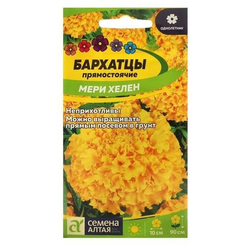 ���������� ������ ������ �������� 