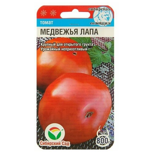 ���������� ������ ����� 