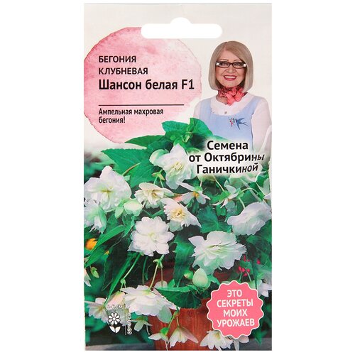 ���������� ������ ������� ��������� ������������� ������ ����� F1 6 ��