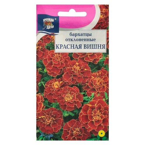 ���������� ������ ������ �� �������� ����. 