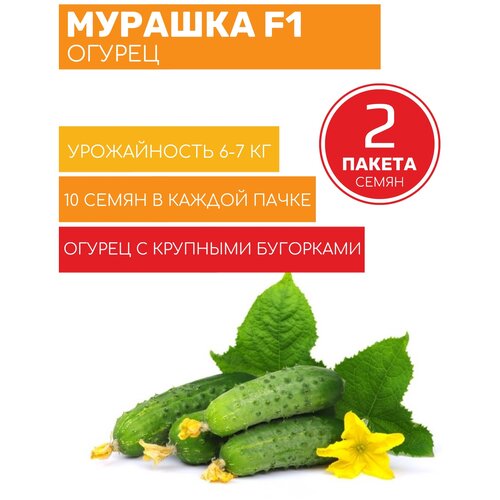 ���������� ������ ������� F1 �������� 2 ������ �� 10�� �����