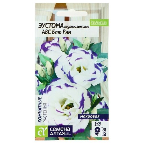 ���������� ������ ������ ������� ABC ��� ��� ��������, ��, 5 ��.