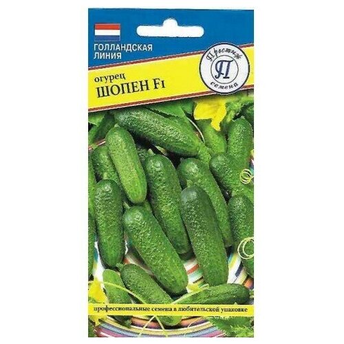 ���������� ������ ����� F1 5��. (���������) (�������)