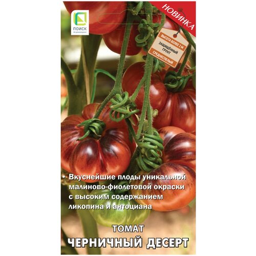 ���������� ������ ����� ����� ��������� ������ 12 ��.