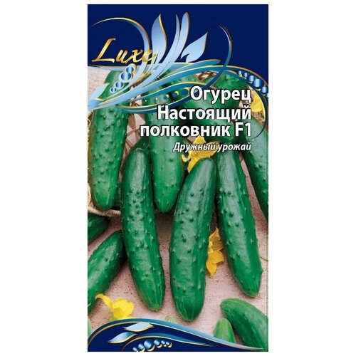 ���������� ������ ���� ��������� ������ ��������� ��������� F1 0,25 ��