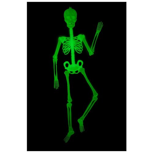 ���������� ��������� 