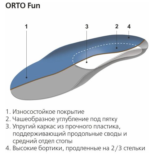    ORTO Fun,  33/34   , -, 