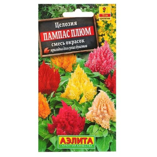 ���������� ������. ������� �������� 