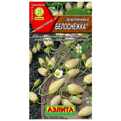 ���������� ������. ��������� 