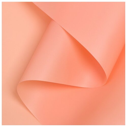 ���������� ������ ����������� ����-���� 