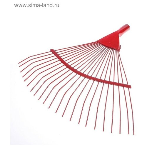 ���������� ������ �������, �����������, 22 �����, ������, ��� �������, ������� 30 ��