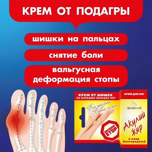 ���������� ������ ����. ���������. ���� �� ����� �� ������� ���. ������ ��� � ������ �����������. ����� 20 �� / ������