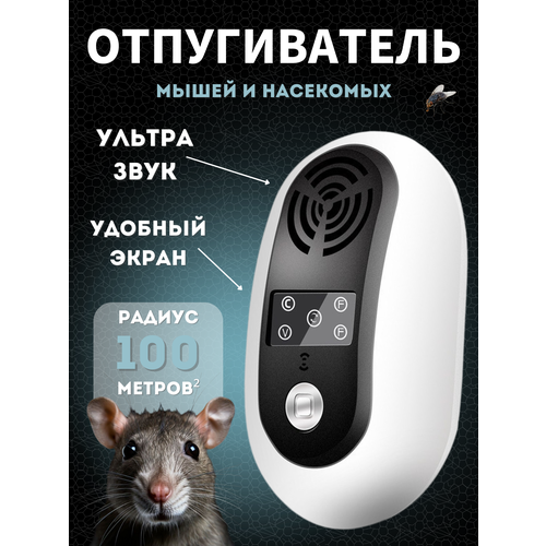 ���������� ������������ ����� � ��������� ��������������