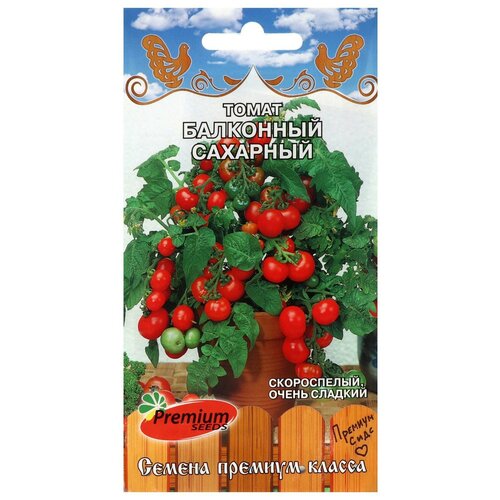 ���������� ������ ����� 