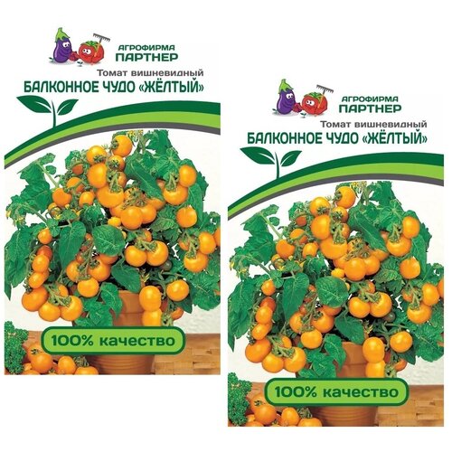 ���������� ������ ����� ��������� ���� (������) /��������� �������/ 2 �������� �� 0,05 � �����