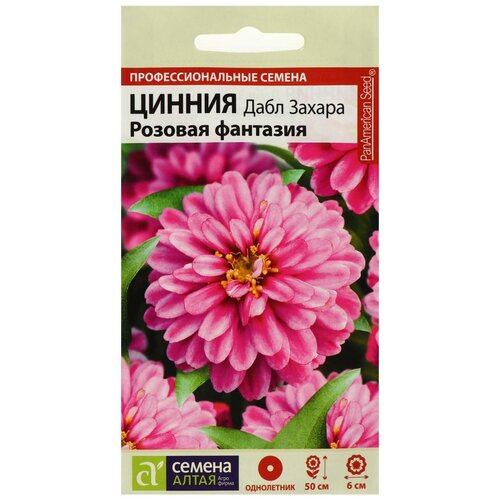 ���������� ������ ������ ����� ������ ���� ������ ������� ��������, 6 ��