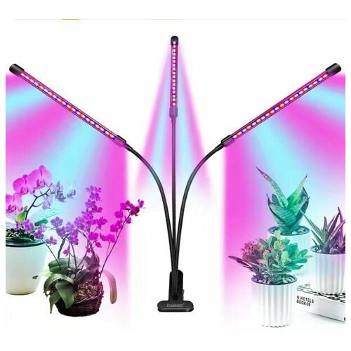 ���������� ���������, ��� �������, ����������, 3 �����, 30��