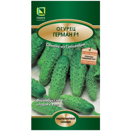 ���������� ������ ����� ������ ������ F1 12 ��.