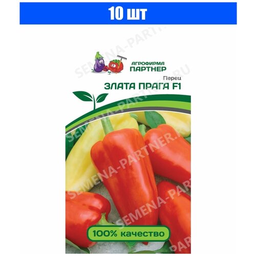 ���������� ������ ����� 