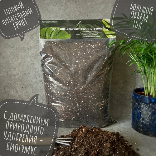 ���������� ������� ����� � ���������� ��� ��������� �������� �������� Terracotta Plants, 10 ������.