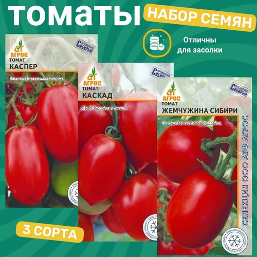 ���������� ����� ����� ������� ��� ���������������/ ������ , ������, ��������� ������