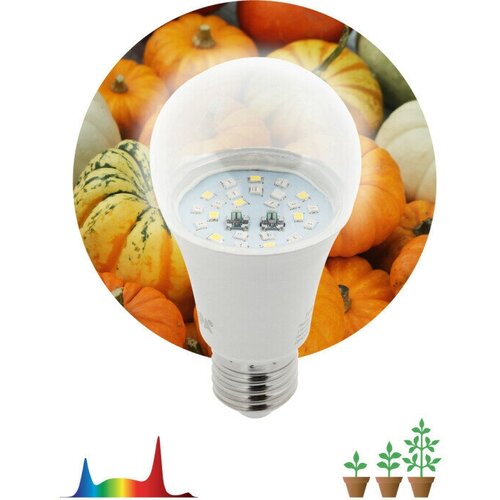 ���������� ��������� ��� �������� ������������ ��� FITO-11W-Ra90-E 27 ������� ������� new ����� �27 11�� ������ ������ 230� ���������� (�0050603) (�������� 4 ��)