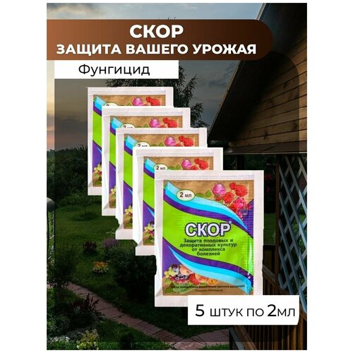 ���������� �������� ��� ������ �������� �� �������� ����, 5�� �� 2 ��