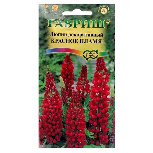 ���������� ������ ������ ����� 