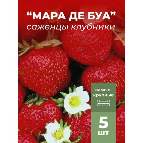 ���������� �������� ����� ������������� ���� �� ���, �������/��������� �������� 5 ��