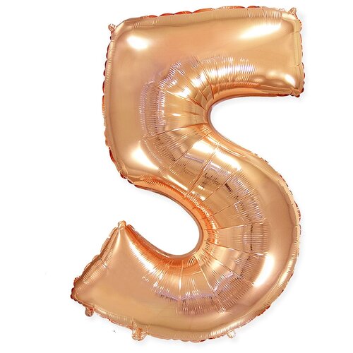 ���������� ��������� ��� �������������� �����, 5, ������� ������, 81 ��, 1 ��.