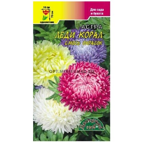 ���������� ������ �������� ��� 