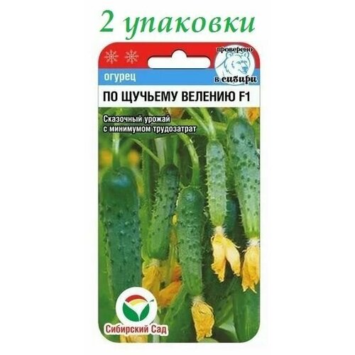 ���������� ������ �� ������� ������� F1 (7��) 