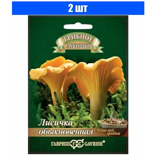 ���������� ������ ������� ������� ������� �� �������� ��������� 15 ��, 2 ��.