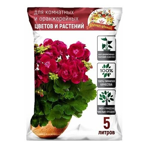 ���������� ����� 