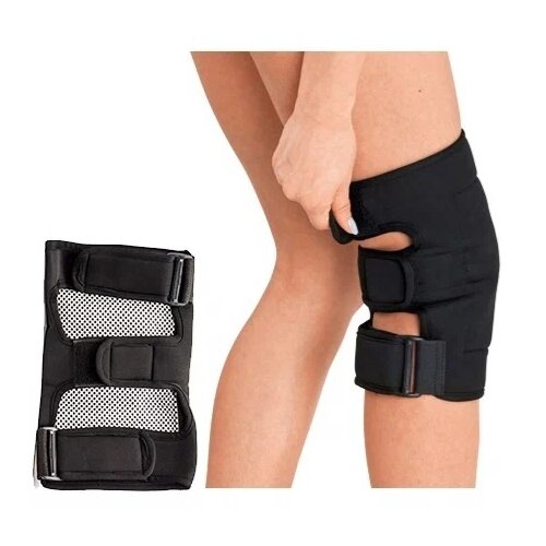 ���������� BIOMAG ���������� ������������ � ���������� ��������� Biomagnetic, ������