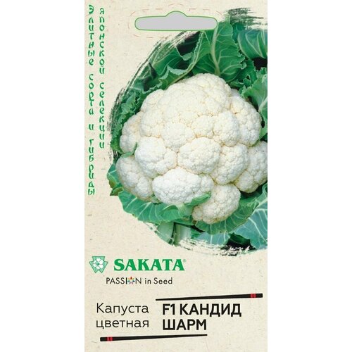 ���������� ������ ������� ������� ������ ���� F1, 15��, ������, ������� ����� � �������, Sakata