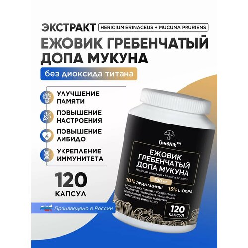 ���������� ������ ����������� + ������� ����� 120 ��