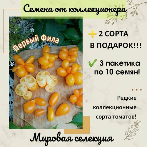 ���������� ����� ������ ����, ������� �� ��������� �����, ������� ��������, ������������� ����