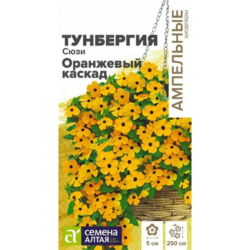 ���������� ������ ������ ������ ����� 