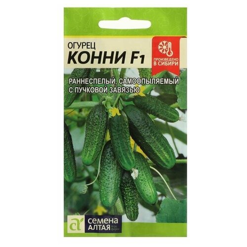 ���������� ������ ������ 