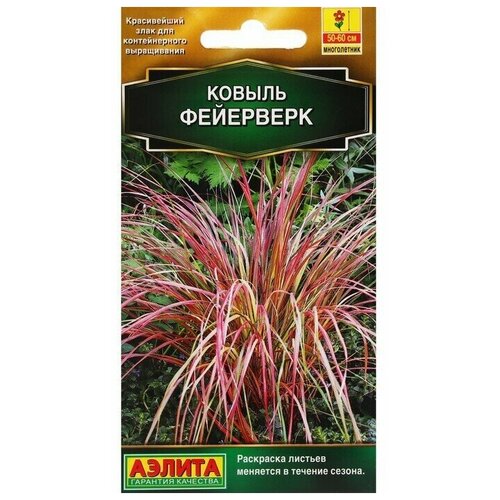 ���������� ������ ������ ������ 